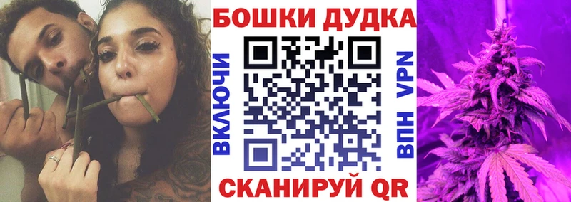 Бошки Шишки планчик Поронайск
